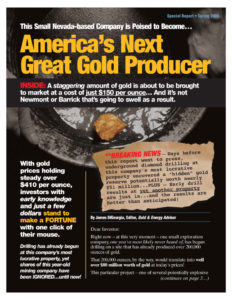 thumbnail of gold-producer-pdf